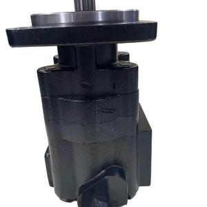 Case Hydraulic Pump -- 87434672