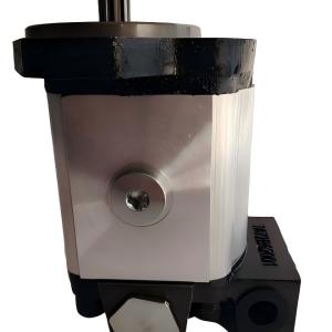Hydraulic Pump 87314177 AZPS-21-019LRR20PEXXX25 0517625306 Compatible with Case Tractor MAXXUM 100 New Holland T6010 T6020 T6030 T6040 T6050