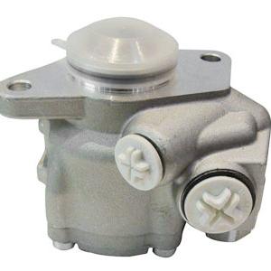 Power Steering Pump for BEN-Z /542009210/0024601580/542004910/0014608080//542009210/0024601580/542 0049 10/0014608080